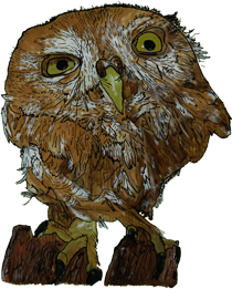 Beautiful Backwards Art - Owl